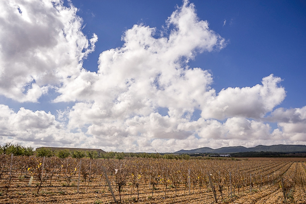 Read more about the article Tasting Valencia’s Wines at Hoya de Cadenas