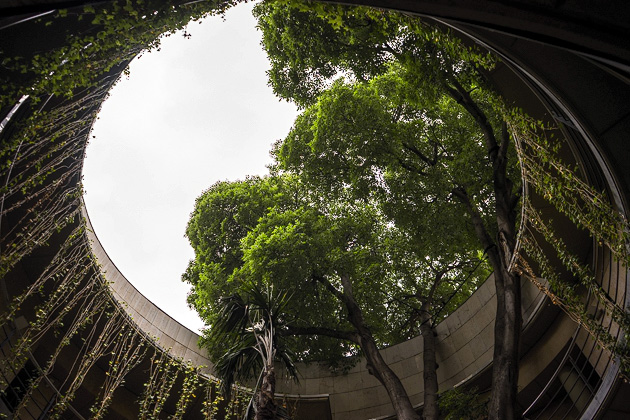 Read more about the article The Jardín Botánico de Valencia