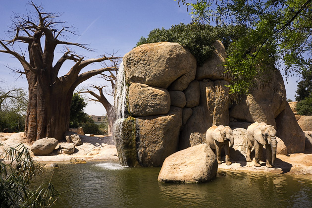 Read more about the article The BioParc of Valencia