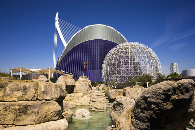 Read more about the article L’Oceanogràfic – Europe’s Biggest Aquarium