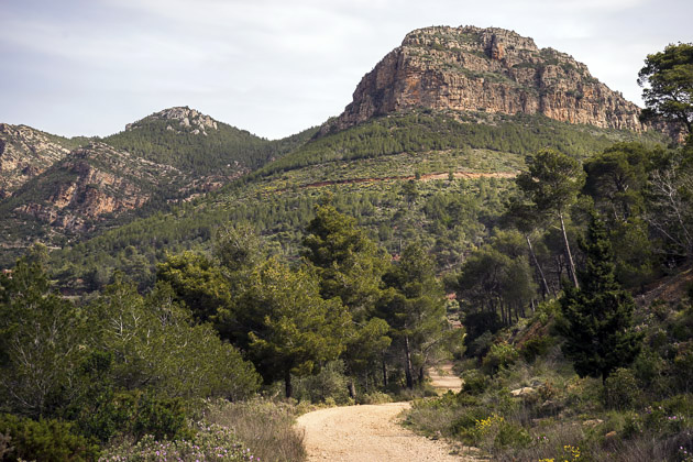 Read more about the article The Sierra Calderona and the Mirador de Garbi