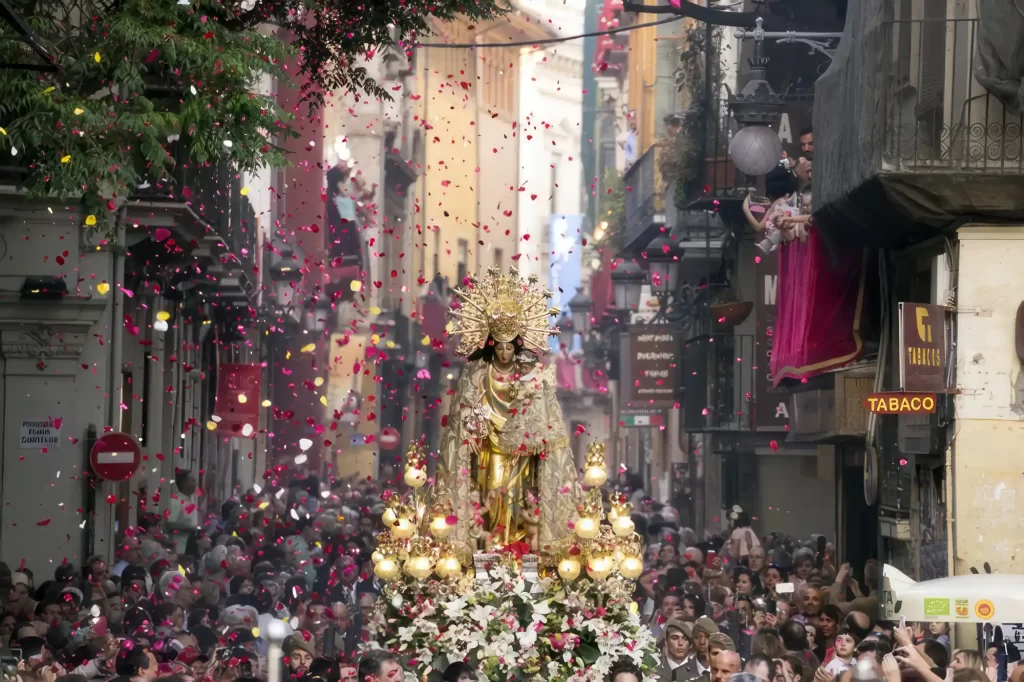 Rose paddles and Virgin of Valencia